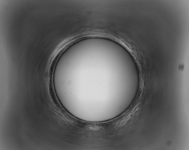 X0000100410199200806060933