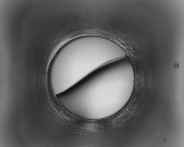 X0000100410200200806060933