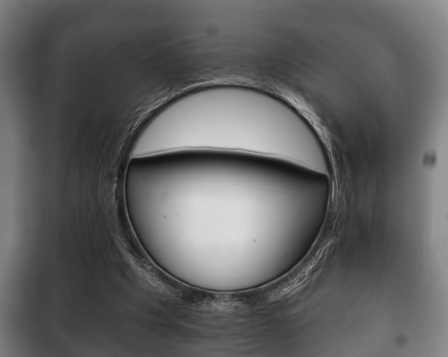 X0000100410201200806060933