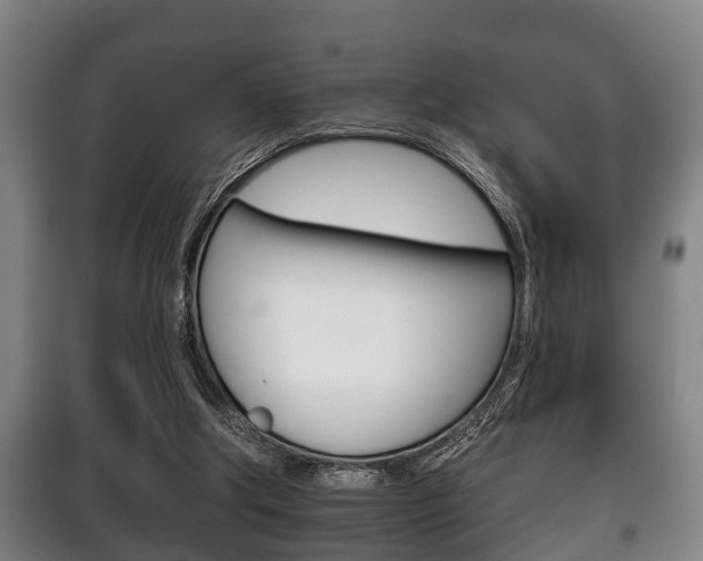 X0000100410202200806060933
