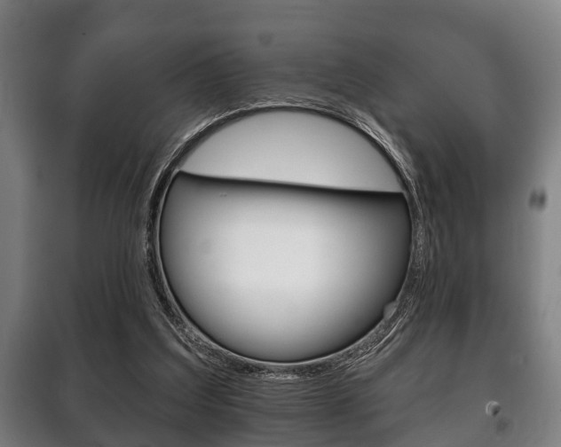 X0000100410203200806060933