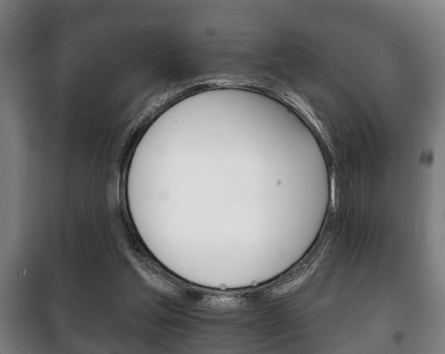 X0000100410205200806060933