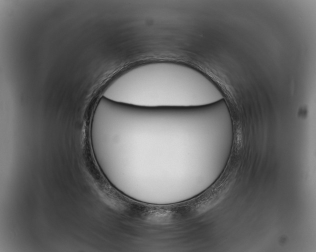 X0000100410206200806060933