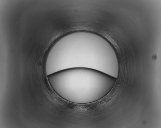 X0000100410207200806060933