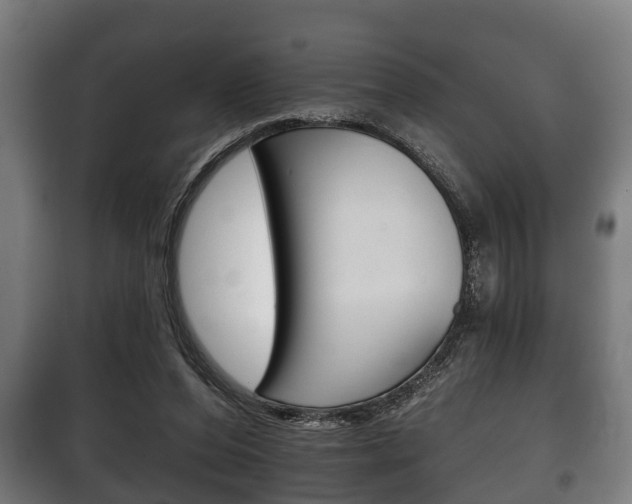 X0000100410208200806060932