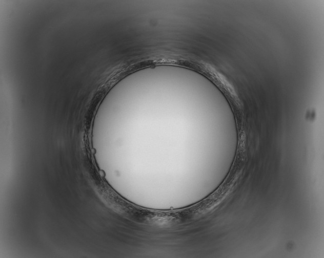 X0000100410209200806060932