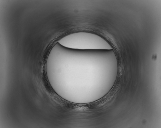 X0000100410210200806060932