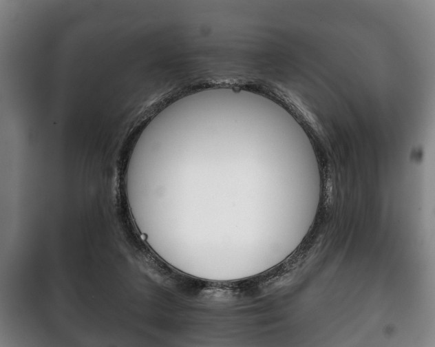 X0000100410211200806060932