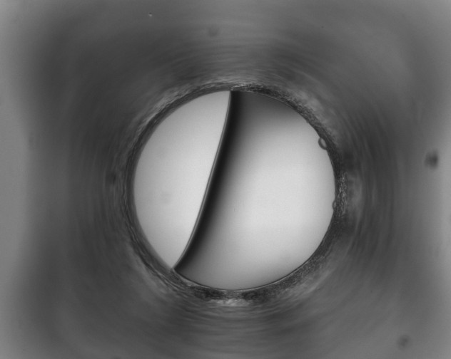 X0000100410212200806060932