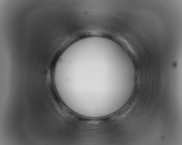 X0000100410213200806060932