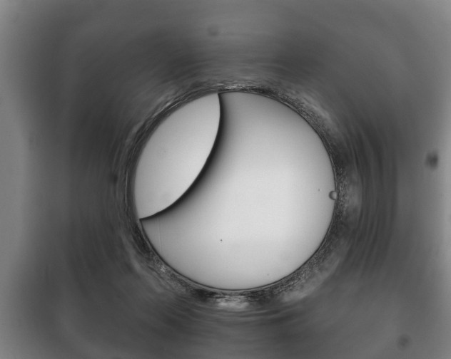 X0000100410214200806060932