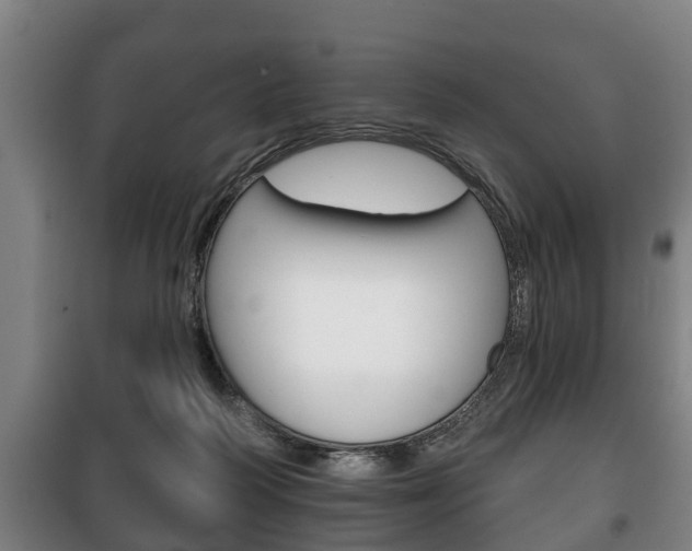 X0000100410218200806060932