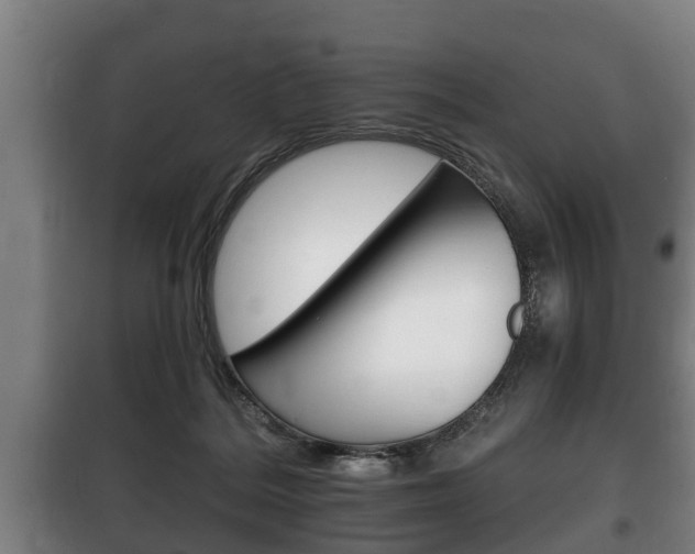 X0000100410220200806060932