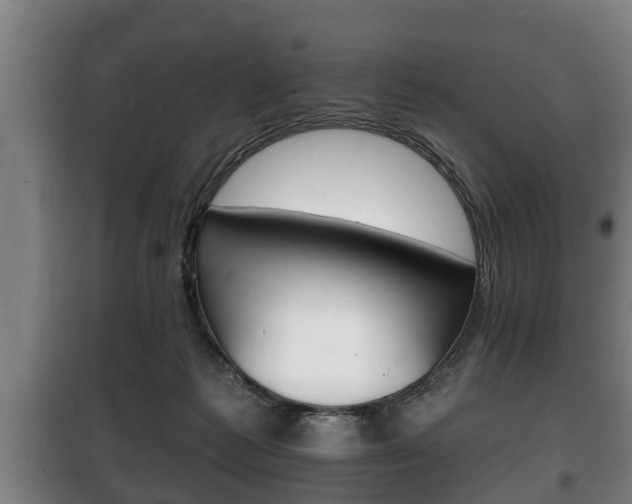 X0000100410221200806060932