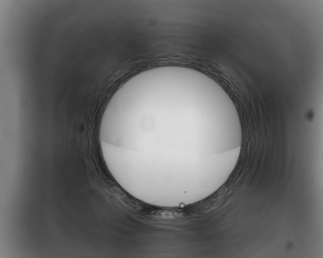 X0000100410223200806060932