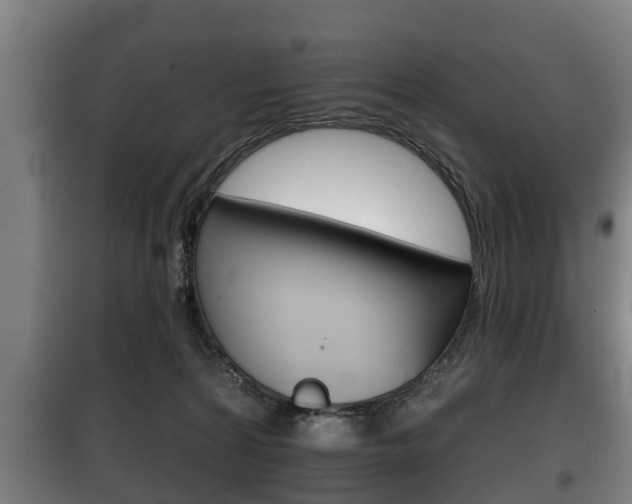 X0000100410224200806060932