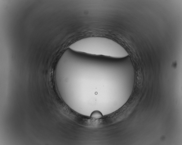 X0000100410225200806060932