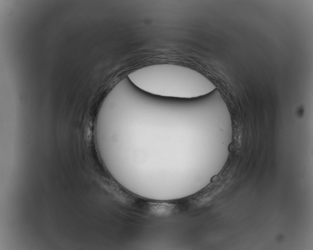 X0000100410226200806060932