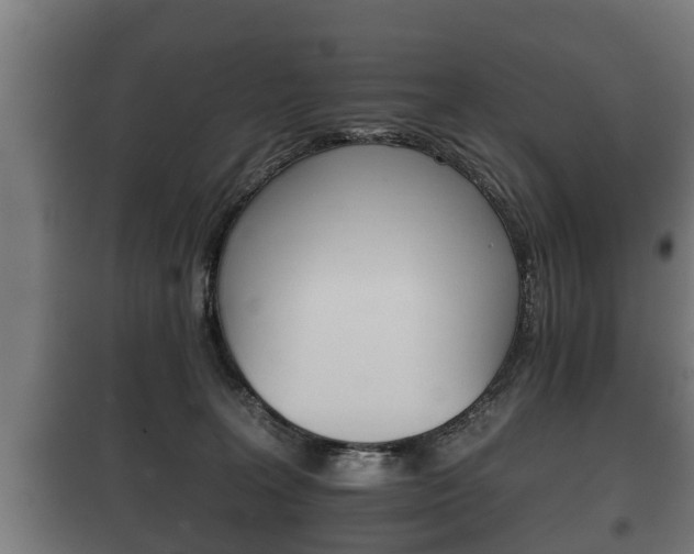X0000100410227200806060932