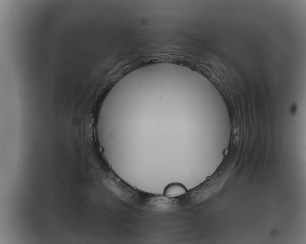 X0000100410231200806060932