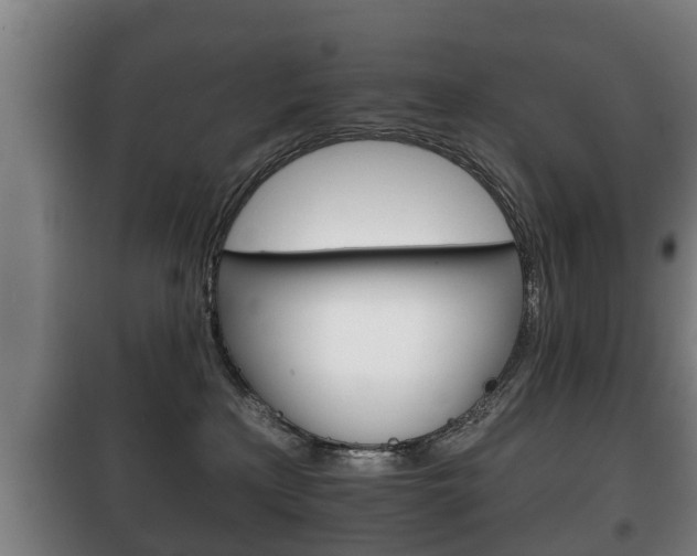 X0000100410233200806060932