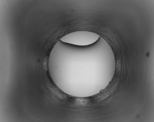 X0000100410234200806060932