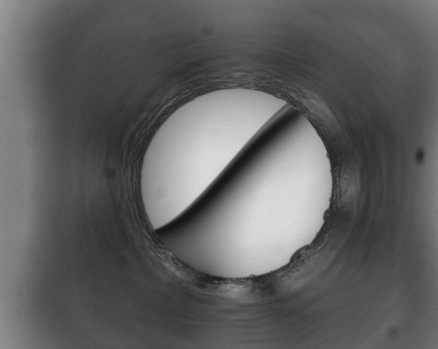 X0000100410236200806060932