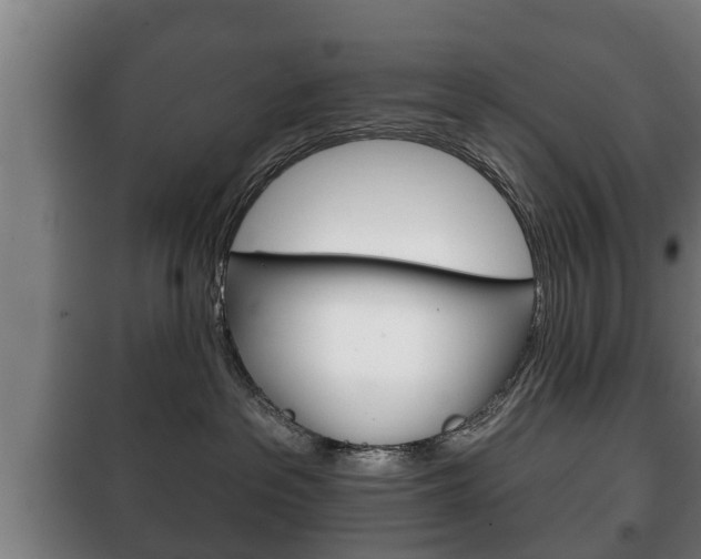 X0000100410237200806060932