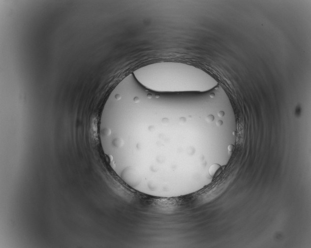 X0000100410238200806060932