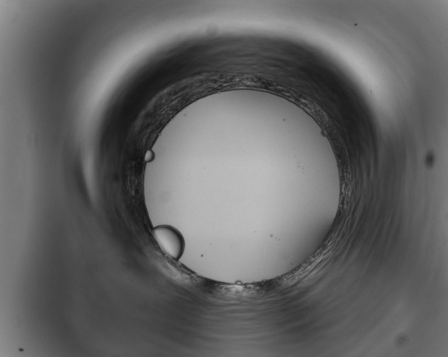 X0000100410239200806060932