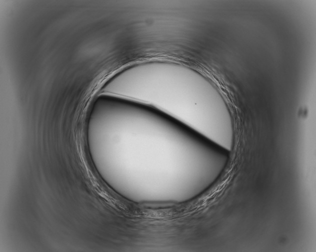 X0000100410241200806060931