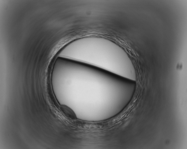 X0000100410242200806060931