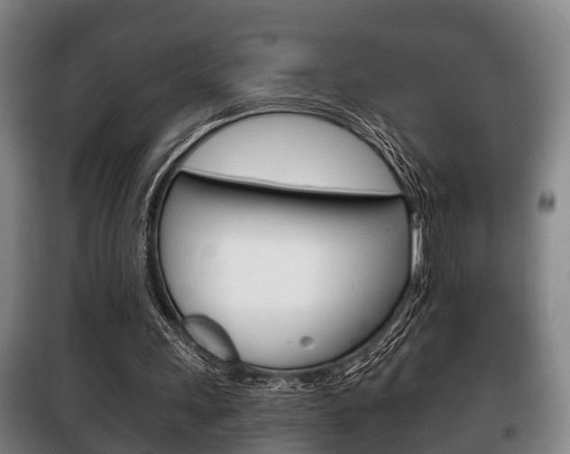 X0000100410243200806060931