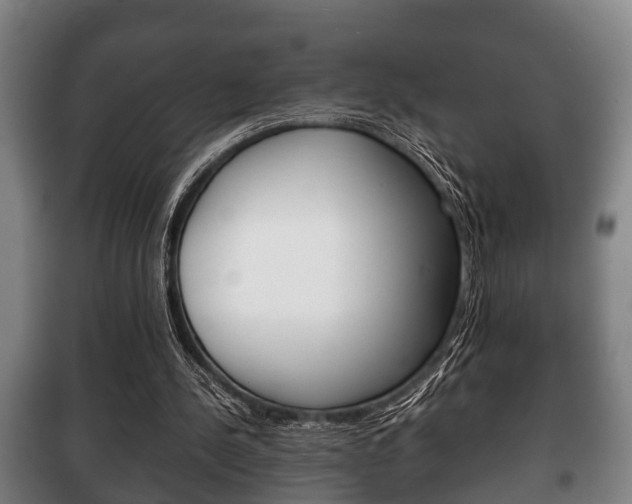 X0000100410244200806060931