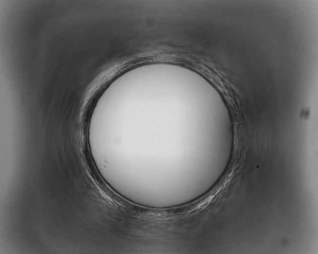 X0000100410245200806060931