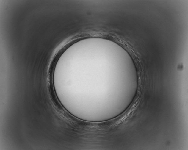 X0000100410246200806060931