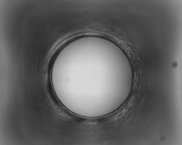 X0000100410247200806060931