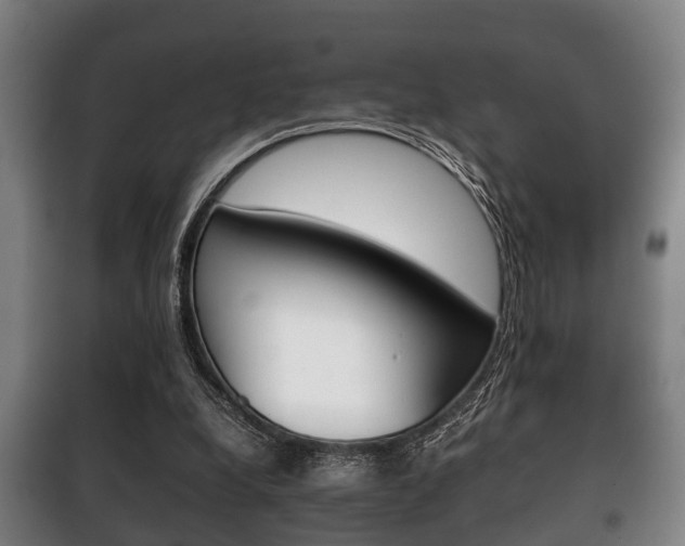 X0000100410248200806060931