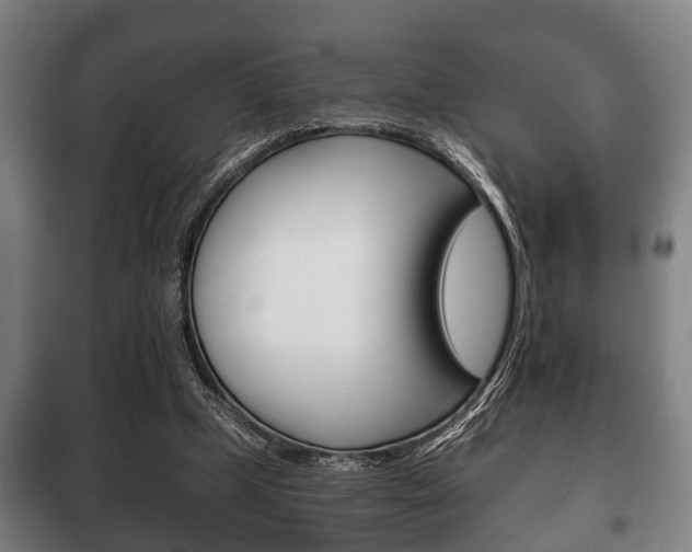 X0000100410249200806060931