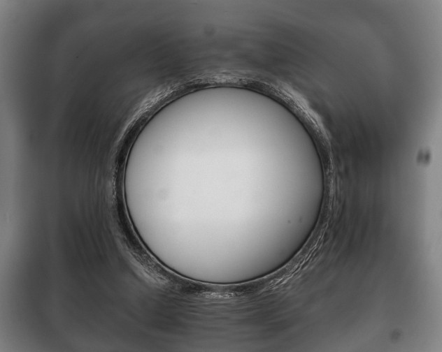X0000100410250200806060931