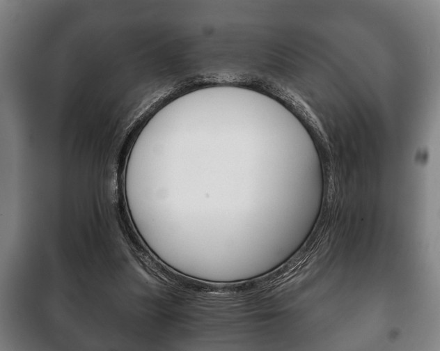 X0000100410251200806060931
