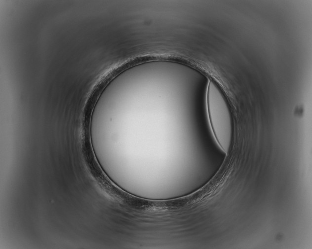 X0000100410252200806060931
