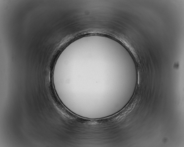 X0000100410253200806060931