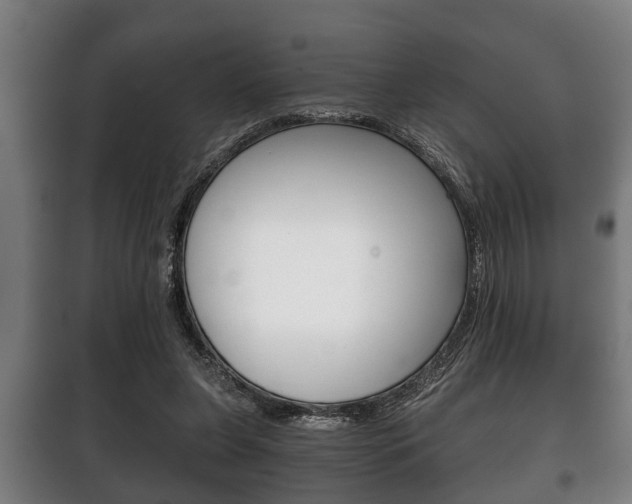 X0000100410255200806060932