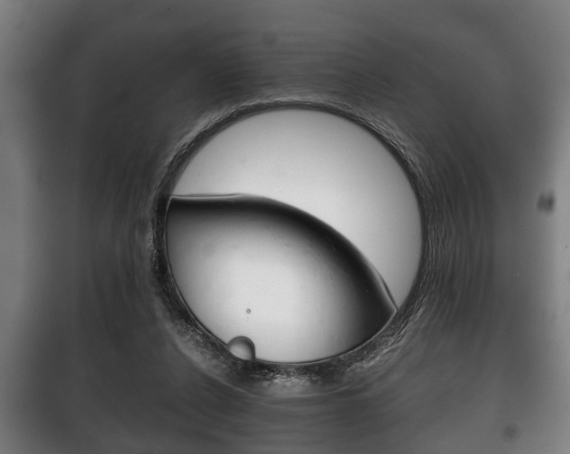 X0000100410256200806060932