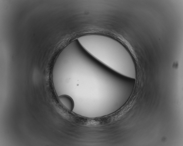 X0000100410257200806060932
