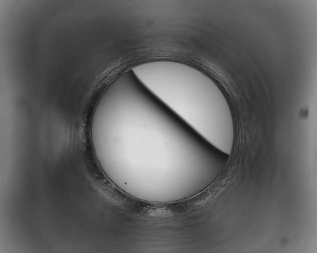 X0000100410258200806060932