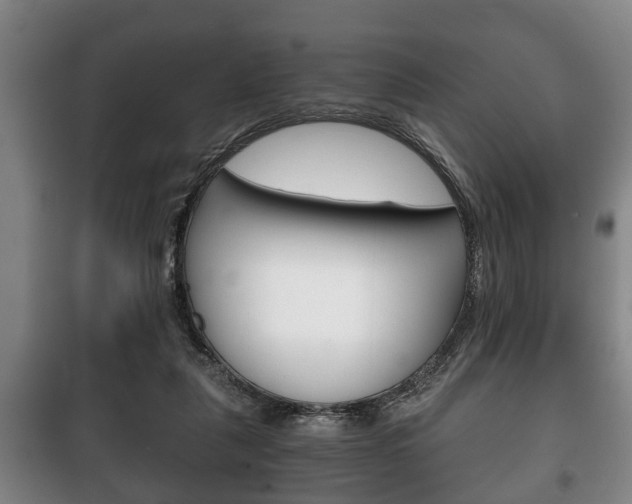 X0000100410259200806060932