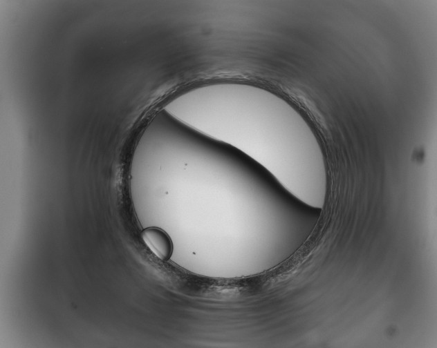 X0000100410260200806060932