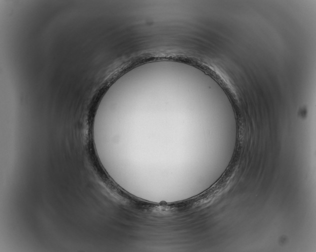 X0000100410261200806060932